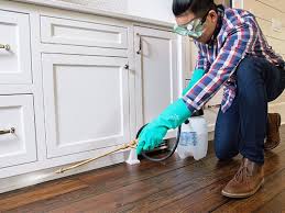 Best Real Estate Pest Inspections  in Mickleton, NJ